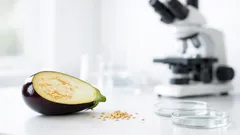 Semi di melanzana e tumore del colon-retto: cosa dice davvero la ricerca preclinica