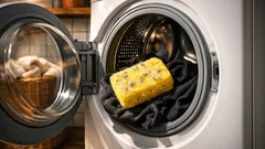 Metti una spugna in lavatrice: il trucco semplice per ridurre pelucchi e peli sui capi scuri