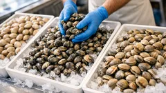 Come riconoscere le vongole in pescheria: verace, filippina e corrugata