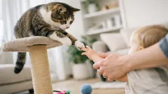 Gatto e bambini: 10 regole semplici per una convivenza serena e senza graffi