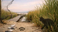 Gatti randagi nelle aree protette: perché la gestione delle colonie è cruciale per la biodiversità