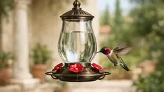 Mangiatoie per uccelli: come un semplice feeder può cambiare la natura (e la selezione naturale)