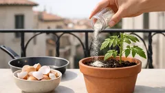 Come riutilizzare i gusci d’uovo: 3 usi domestici che funzionano davvero