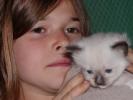Foto Cuccioli